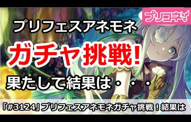 【プリコネ】プリフェスアネモネガチャ挑戦！果たして結果は・・・【プリンセスコネクト！】