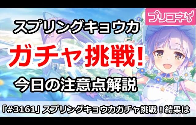 【プリコネ】スプリングキョウカ最終日ガチャ挑戦！＆今日の注意点解説【プリンセスコネクト！】