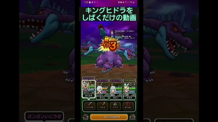 【ドラクエウォーク】キングヒドラをしばくだけの動画。面倒なのでオートでしばいてます。 #ドラクエウォーク #ふくたんチャンネル