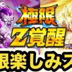 【ドッカンバトル】残りの2021年フェス限LR極限が楽しみすぎる‼︎【Dragon Ball Z Dokkan Battle】