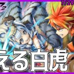 【 メギド72】低身長な義理の姉かぁ・・・イベントシナリオ【吼えよ、カクリヨの白い虎】を読む【 ＃絡繰人形ザクロ 】