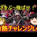 暑さをぶっ飛ばせ！灼熱チャレンジLv1 を攻略【パズドラ】