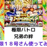 極限バトロ 兄弟の絆/ドラゴンボールZドッカンバトル/＃24