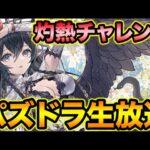 【生放送】ご無沙汰パズドラ配信！灼熱チャレンジとか色々やっていく！【スー☆パズドラ】