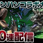 魔法石1000個で挑むモンハンコラボガチャ100連配信！【パズドラ】