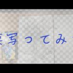 ドカバト8周年のZコンビ模写ってみた#ドッカンバトル #ドラゴンボール#模写