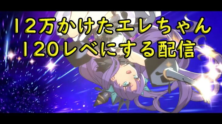 【FGO】エレちゃん宝具５に１２万円使ったから１２０まで育てる