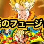 【ドッカンバトル】極限失敗しようがないLR超ゴジータがヤバすぎる‼︎【Dragon Ball Z Dokkan Battle】