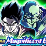 THESE FIGHTS ARE NO JOKE!! Gohan Piccolo Supreme Magnificent Battle Stage 3 | DBZ Dokkan Battle