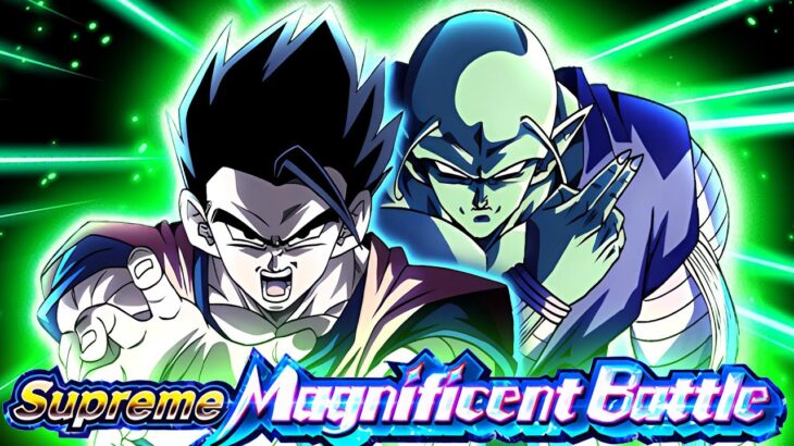 THESE FIGHTS ARE NO JOKE!! Gohan Piccolo Supreme Magnificent Battle Stage 3 | DBZ Dokkan Battle