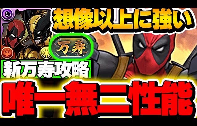 隠れたやばいキャラのデッドプールは絶対入手！？デッドプール＆ウルヴァリンのループが想像以上に強かった！！【新万寿攻略】【パズドラ実況】