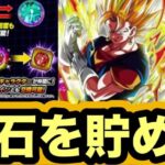 【ドッカンバトル】遂に実装されたフェス天井と10周年に向けての話【Dragon Ball Z Dokkan Battle】