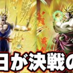 【ドカバト生】いよいよ明日だけど皆どうしよっか？？【ドッカンバトル】【DRAGONBALL Z Dokkan Battle】