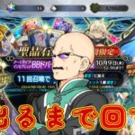 【FGO】BBドバイと水着テノち、XXオルタを迎えるべくカルデア職員（偽）が出るまで回す