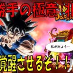 【ドラゴンボールZ ドッカンバトル】そろそろ行こか…極限Z覚醒に…【Dragon Ball Z Dokkan Battle】