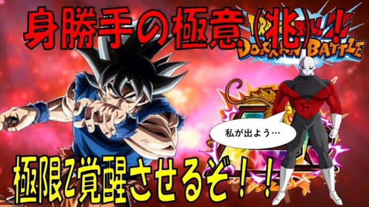 【ドラゴンボールZ ドッカンバトル】そろそろ行こか…極限Z覚醒に…【Dragon Ball Z Dokkan Battle】