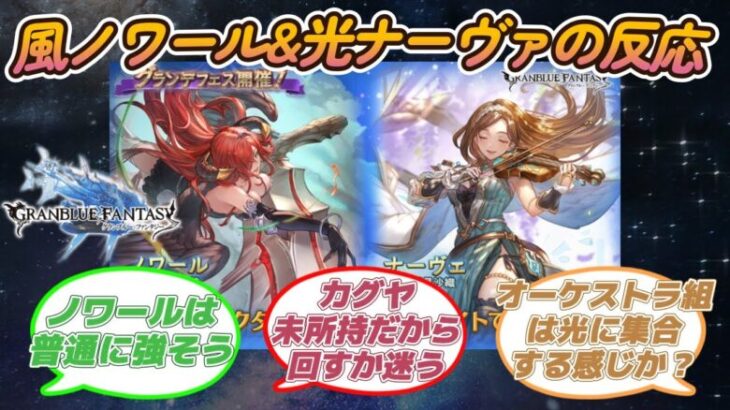 【グラブル反応集】風ノワール&光ナーヴァ新登場！グランデフェスに対する騎空士達の反応