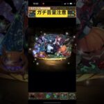 ハロウィンガチャログイン1回 引いた人間の反応【パズドラ】【ハロウィン】 #パズドラ #ゲーム実況