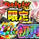 【ドッカンバトル】10月末のドッカンフェスにて初再録！分身ロゼのコイン交換はあり？なし？【DragonBallZDokkanBattle】