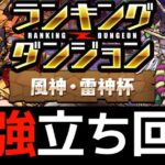 【風神雷神杯】再現性高め即18万点！ランダン風神雷神杯の王冠用立ち回り解説【パズドラ】