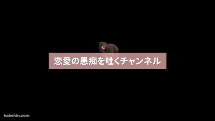 【モンストライブ】クロクマのモンストなんかやる！！ 2024.10.20.