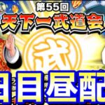 【ドッカンバトル 生配信】第55回天下一武道会最終日