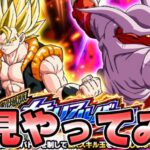 【ドッカンバトル】なんか難しいらしいな【DRAGONBALL Z Dokkan Battle】