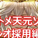 最終ルシオ採用天元ソロ　光トーメンター編成【グラブル】【GRANBLUE FANTASY】