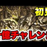 【十億チャレンジ】初見から攻略まで目指す【パズドラ】#パズドラ#shorts#縦型配信