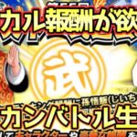 【ドッカンバトル】天下一初日周回するぞー生配信！初見さん大歓迎！