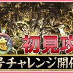 【パズドラ】新称号チャレンジ開催！十億チャレンジに初見で挑む！【雑談】