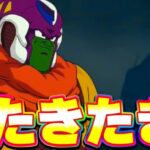 フェス限スラッグがきたきたきたー！！【ドッカンバトル】