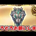 【グラブル】そろそろお願いします。スパバハ盾（ライブ配信）「グランブルーファンタジー」