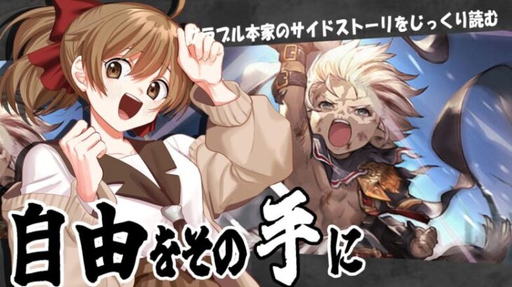 【#グラブル 】10周年から 騎空士になりました！【自由をその手に／サイドストーリー】【周回】