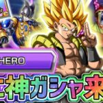 【ドッカンバトル】12月のCPは『ドラゴンボール超』関連で遂に神ガシャの実装か！？【DragonBallZDokkanBattle】