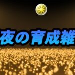 【パズドラ】育成雑談【2024/11/21 YouTube LIVE】