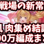 肉集めの常識が覆ってる件＆風古戦場3500万(肉集め)編成まとめ【グラブル】