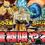 【ドッカンバトル】極限祭やっていくか【DRAGONBALL Z Dokkan Battle】