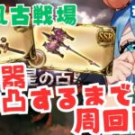 [ 新人VTuber/グラブル］風古戦場！極星器完凸ドロップするまで９０hell周回する！[ここもの２期生/ニーアクイン ]