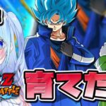 【ドラゴンボールZ ドッカンバトル】コート悟空ベジータ!!育成 初見歓迎! ⚠情緒注意 DBZ #ドラゴンボール