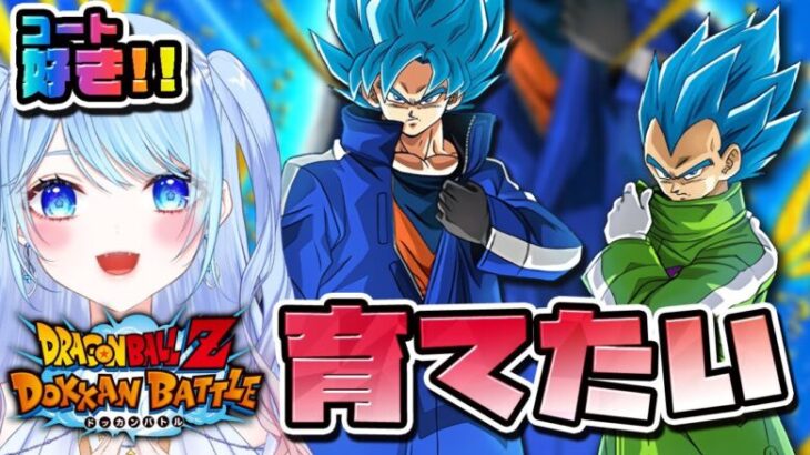 【ドラゴンボールZ ドッカンバトル】コート悟空ベジータ!!育成 初見歓迎! ⚠情緒注意 DBZ #ドラゴンボール