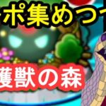 「モンスト」森にいく?