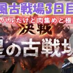 [グラブル]風古戦場３日目  インターバルだけど肉集め＆極星器集め頑張ります！