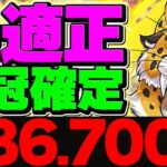 0.1%43万点↑最強編成&立ち回り解説！これ組めば誰でも王冠確定！ランキングダンジョン メガドラゴン杯【パズドラ】