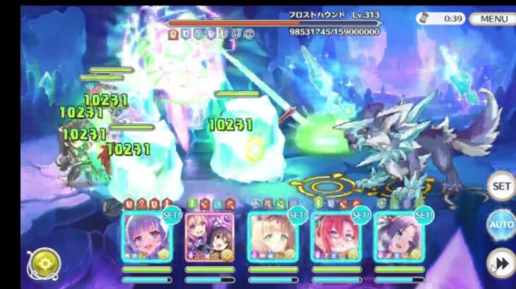 【24年12月】プリコネR　深域クエスト　光2-10