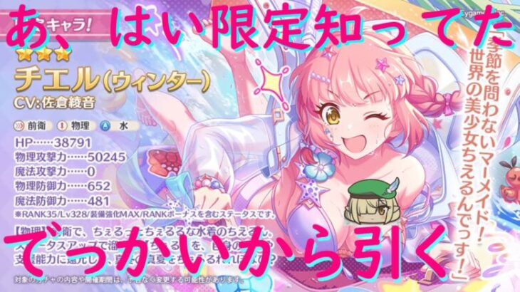 【プリコネR】うすうす感づいてた限定チエルウィンターこのタイミングはきついがくしくも1天井分あるので引いていく【ガチャ配信】