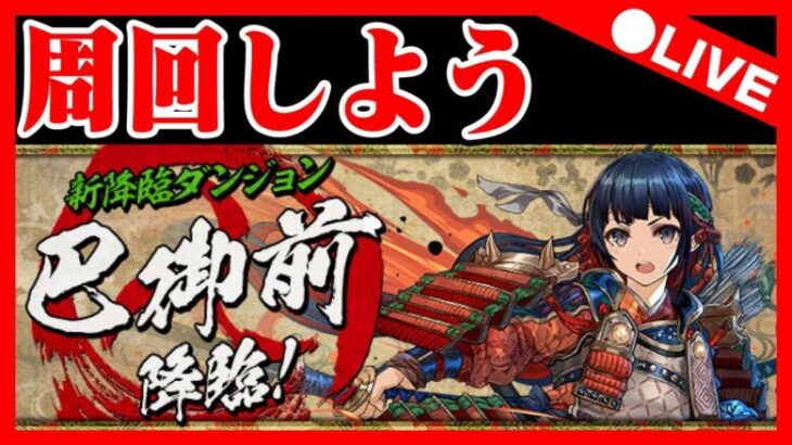 🔴【巴御前周回】武器2体本体2体‼️　#巴御前降臨 #パズドラ