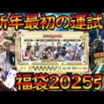 【FGO】新年最初の運試し！！福袋2025×2回引きで大吉をつかみ取れ！！ リチャード１世ガチャ引く！【fate/grand/order】