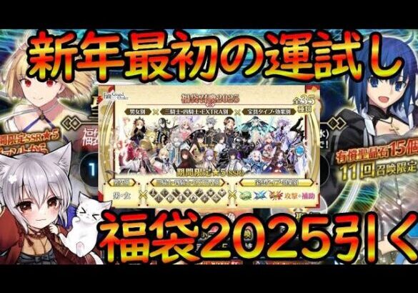 【FGO】新年最初の運試し！！福袋2025×2回引きで大吉をつかみ取れ！！ リチャード１世ガチャ引く！【fate/grand/order】