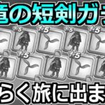 【ドラクエウォーク】絶海のリベンジャー装備ガチャ！水竜の短剣出るまで引いた結果！